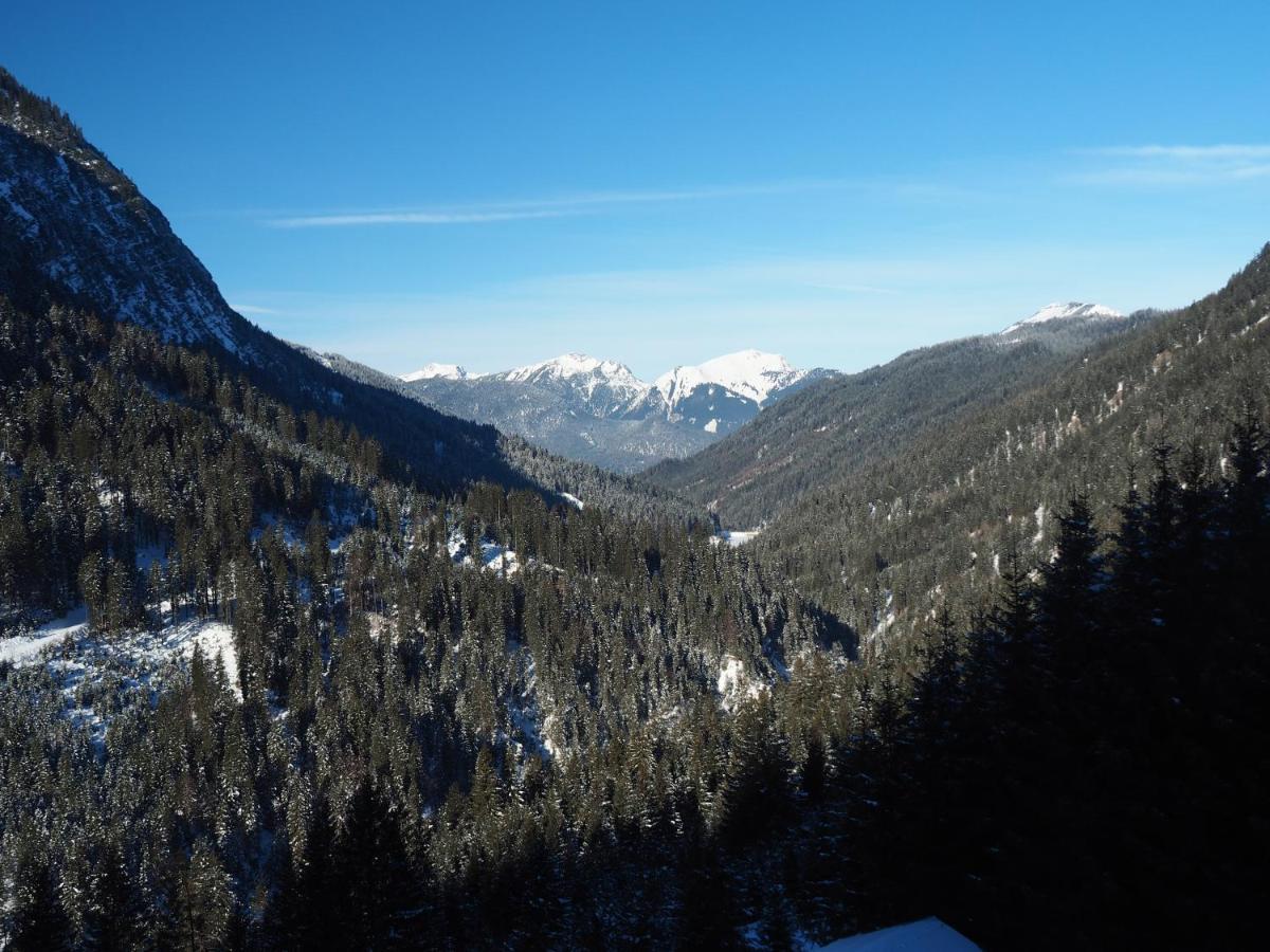 Abendrot-Tirol Daire Berwang Dış mekan fotoğraf