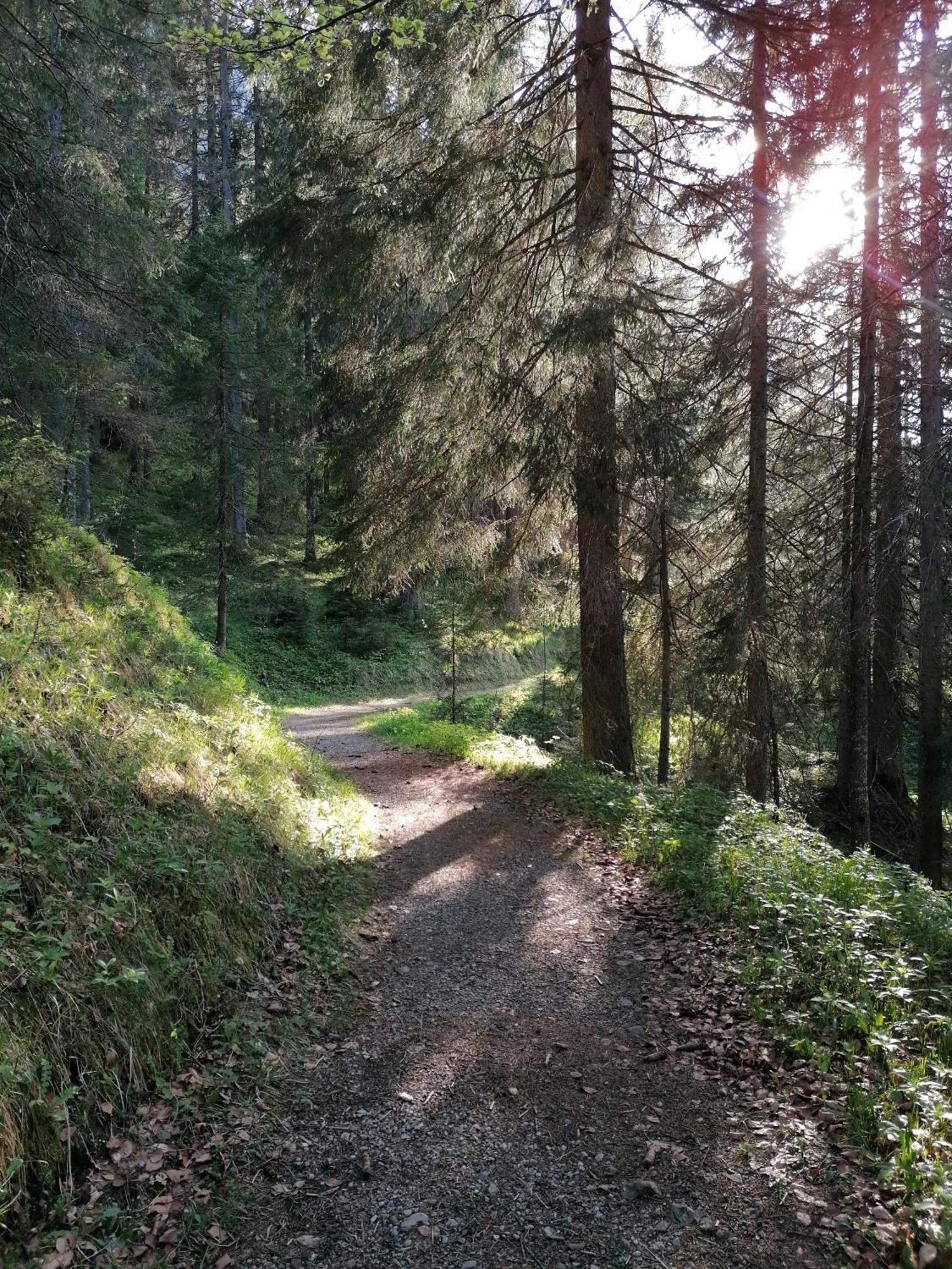 Abendrot-Tirol Daire Berwang Dış mekan fotoğraf